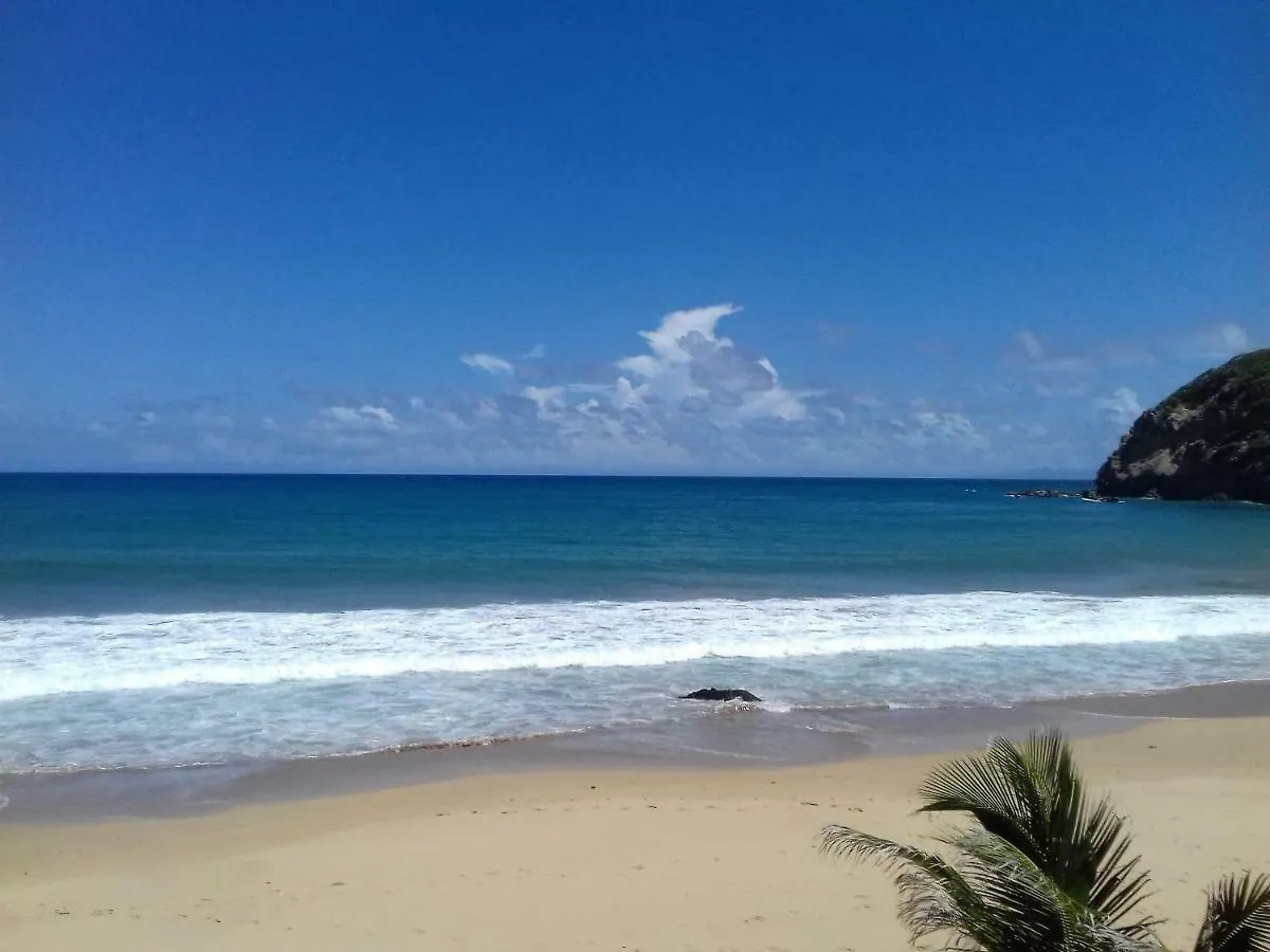Daire Bungalow Anse Figuier Terre-De-Haut