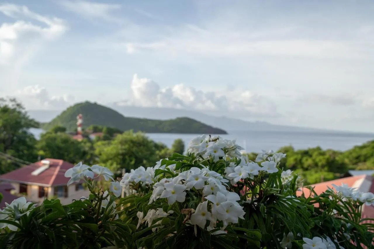 Bungalow Anse Figuier テール・ド・オー グアドループ