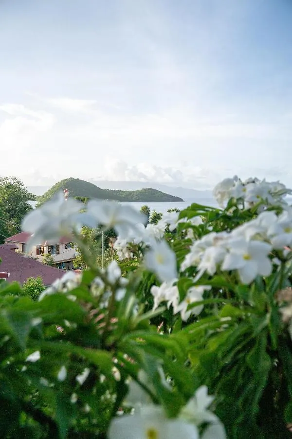 Bungalow Anse Figuier テール・ド・オー グアドループ